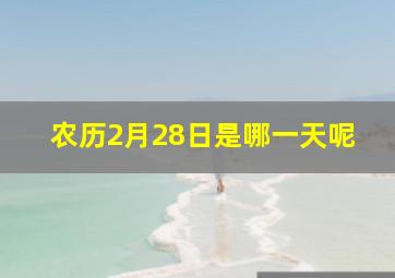 农历2月28日是哪一天呢