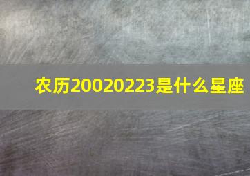 农历20020223是什么星座