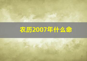 农历2007年什么命