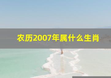 农历2007年属什么生肖