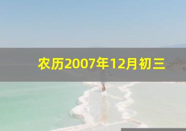 农历2007年12月初三