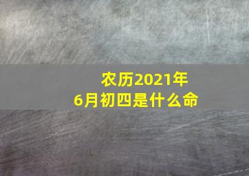 农历2021年6月初四是什么命