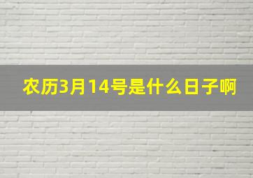 农历3月14号是什么日子啊