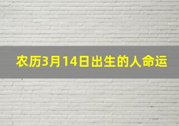 农历3月14日出生的人命运