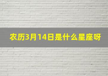 农历3月14日是什么星座呀