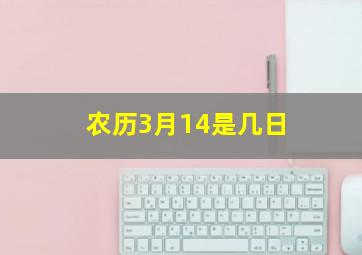 农历3月14是几日