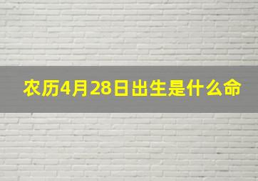 农历4月28日出生是什么命