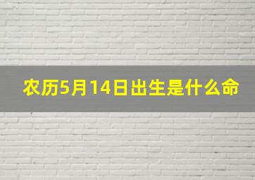 农历5月14日出生是什么命