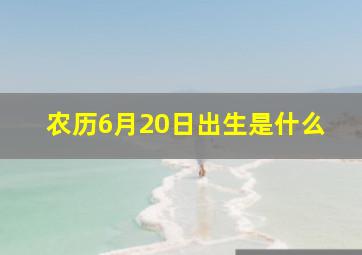 农历6月20日出生是什么