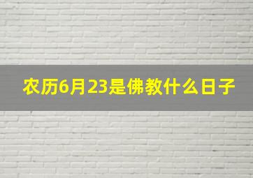 农历6月23是佛教什么日子