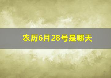 农历6月28号是哪天