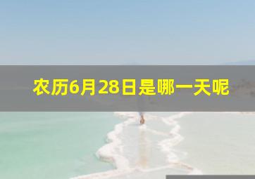 农历6月28日是哪一天呢