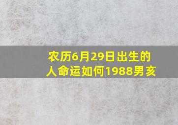 农历6月29日出生的人命运如何1988男亥