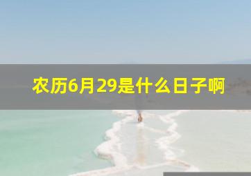 农历6月29是什么日子啊