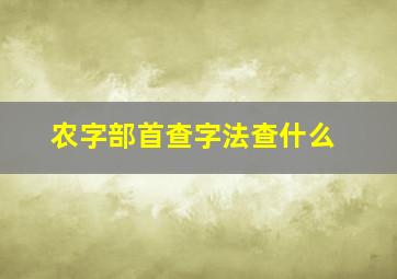 农字部首查字法查什么