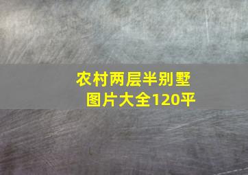 农村两层半别墅图片大全120平