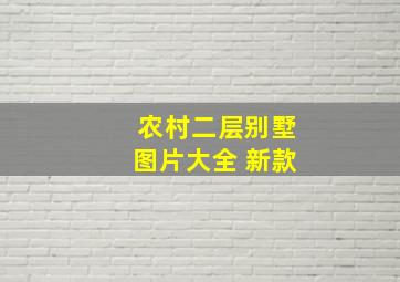 农村二层别墅图片大全 新款