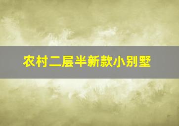 农村二层半新款小别墅