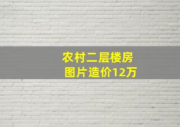 农村二层楼房图片造价12万