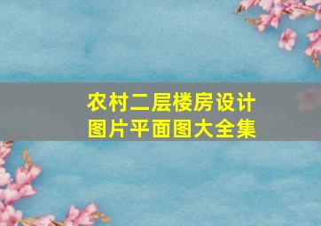 农村二层楼房设计图片平面图大全集