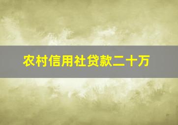 农村信用社贷款二十万