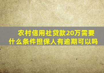 农村信用社贷款20万需要什么条件担保人有逾期可以吗