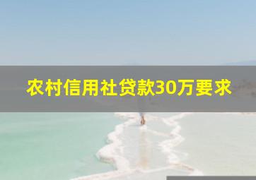 农村信用社贷款30万要求