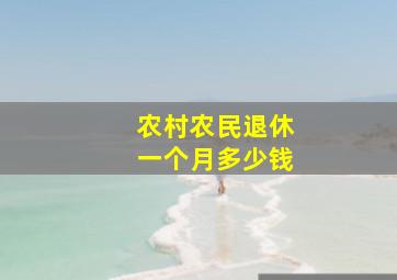 农村农民退休一个月多少钱