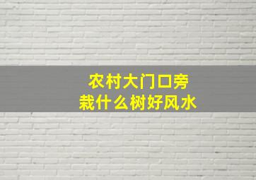 农村大门口旁栽什么树好风水