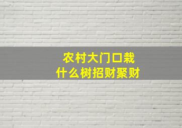 农村大门口栽什么树招财聚财