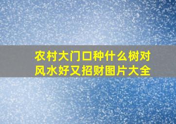 农村大门口种什么树对风水好又招财图片大全