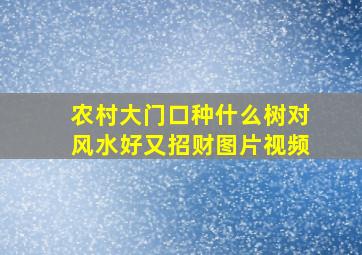 农村大门口种什么树对风水好又招财图片视频