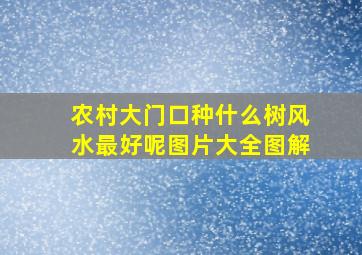 农村大门口种什么树风水最好呢图片大全图解