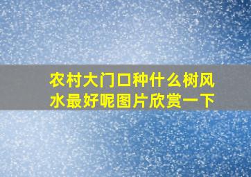 农村大门口种什么树风水最好呢图片欣赏一下