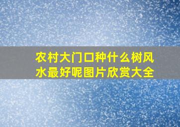 农村大门口种什么树风水最好呢图片欣赏大全