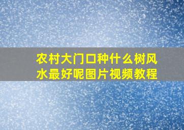 农村大门口种什么树风水最好呢图片视频教程