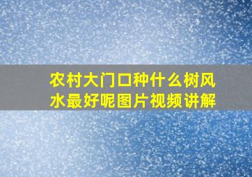 农村大门口种什么树风水最好呢图片视频讲解