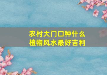 农村大门口种什么植物风水最好吉利