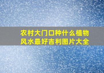 农村大门口种什么植物风水最好吉利图片大全