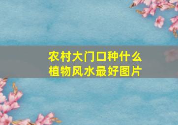 农村大门口种什么植物风水最好图片