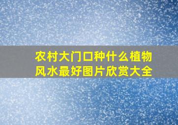 农村大门口种什么植物风水最好图片欣赏大全