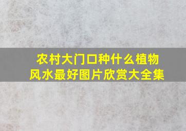 农村大门口种什么植物风水最好图片欣赏大全集