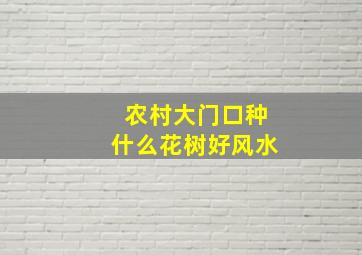 农村大门口种什么花树好风水