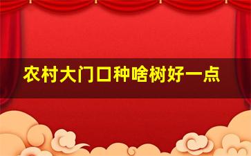 农村大门口种啥树好一点