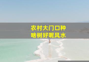 农村大门口种啥树好呢风水