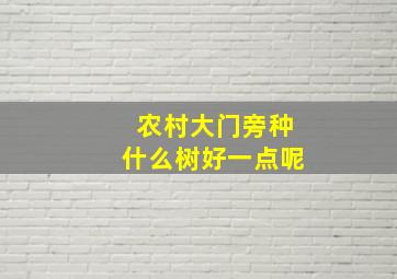 农村大门旁种什么树好一点呢