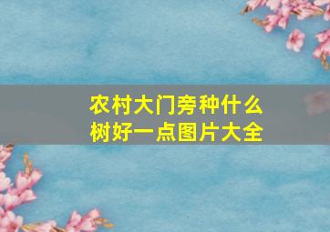 农村大门旁种什么树好一点图片大全