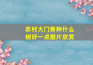 农村大门旁种什么树好一点图片欣赏