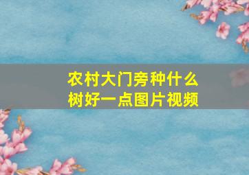 农村大门旁种什么树好一点图片视频