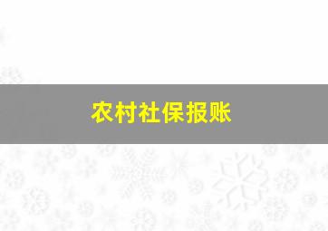 农村社保报账